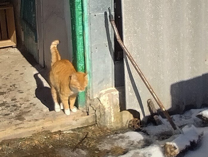 Кто-то щурился на солнышко