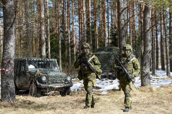    Военнослужащие Эстонии. Фото: Global Look Press