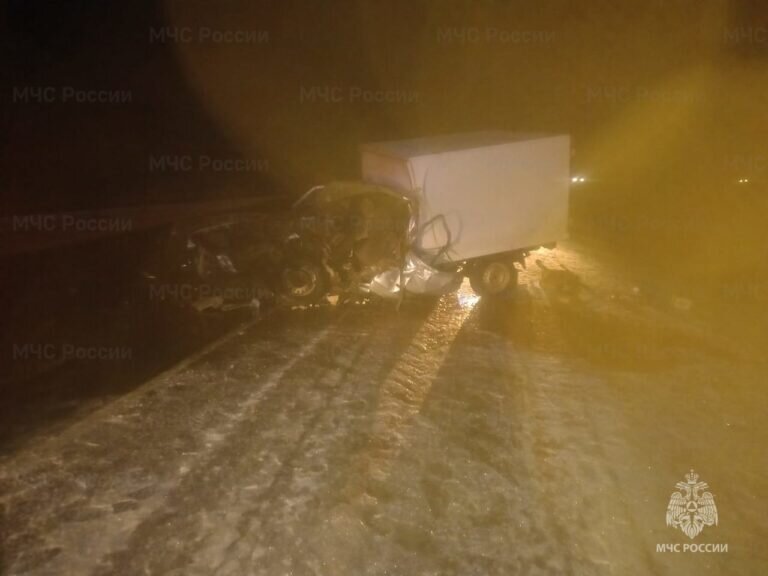    В ДТП с грузовиком на трассе Оренбург-Самара пострадал 60-летний водитель автомобиля «Вис» Андрей Севостьянов