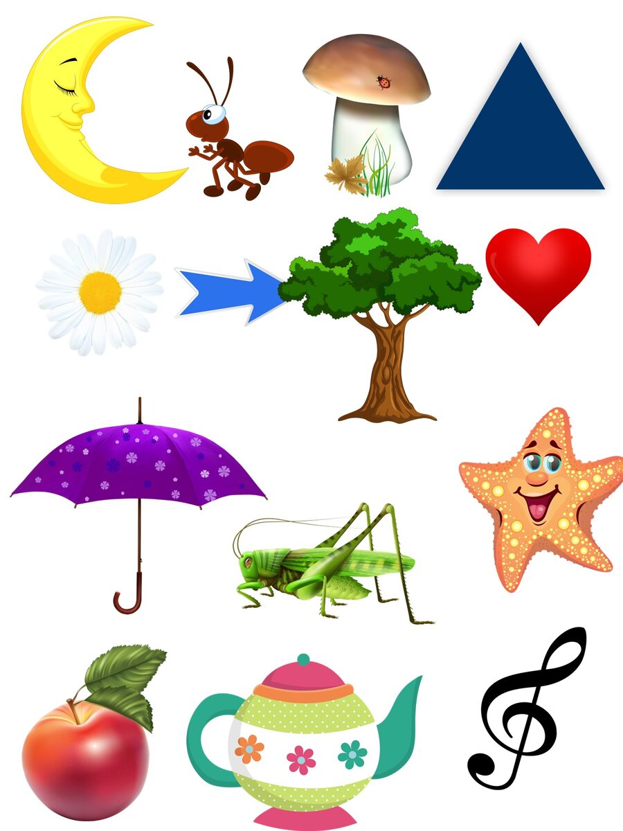 Постарайся вспомнить и показать, какие картинки были на предыдущем слайде. Какие появились вновь?
