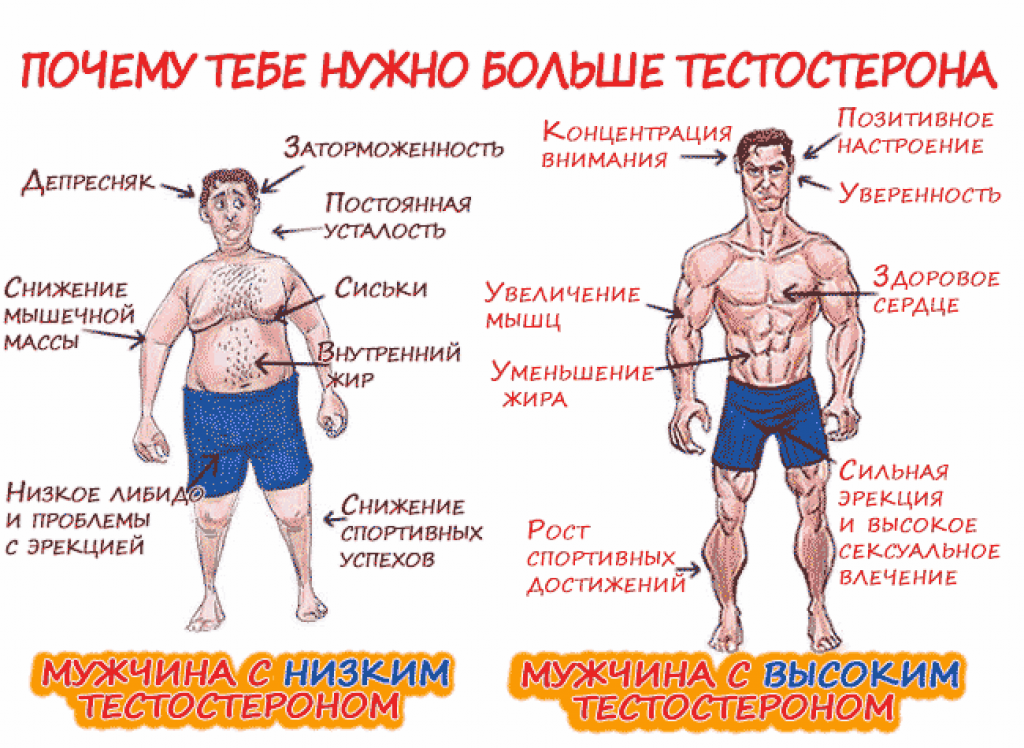 Картинка взята из открытого доступа