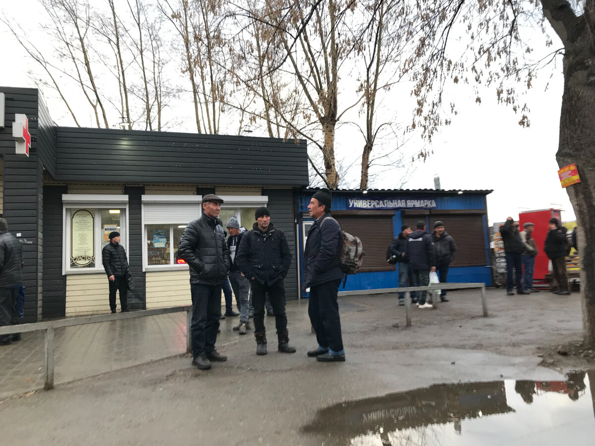 Новосибирск. В ожидании работы.