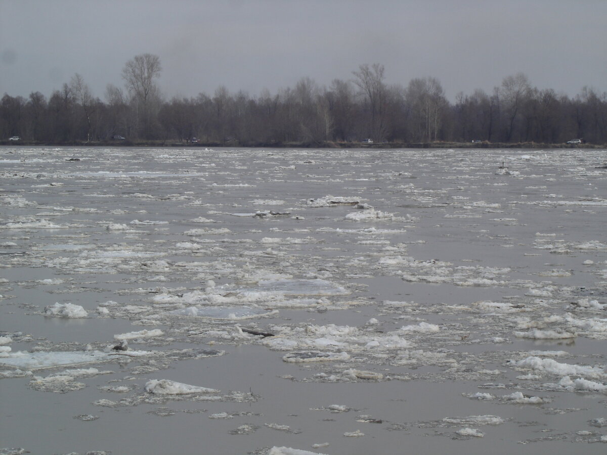 апрельский ледоход на Оби. фото моё
