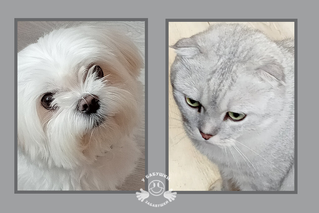 Это наши герои (фото автора)