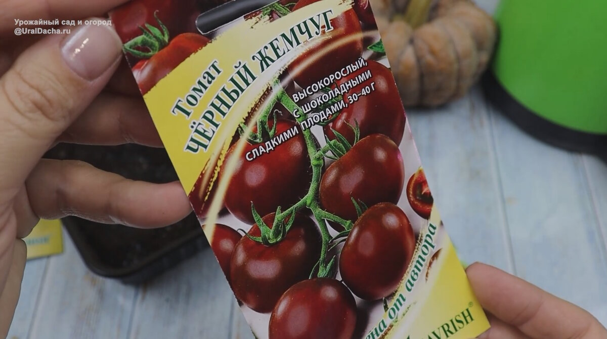 Если вы ещё стоите перед выбором, какие высокорослые томаты сеять, то рекомендую обратить внимание на сегодняшнюю подборку, эти помидоры просто побили рекорды по урожайности.-7