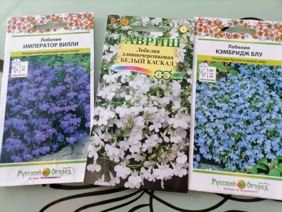 Семена обычные, не дражированные 