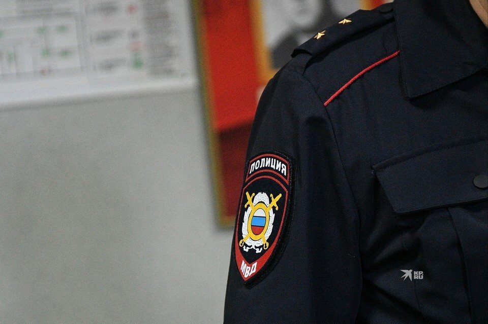     В полиции проводят проверку
