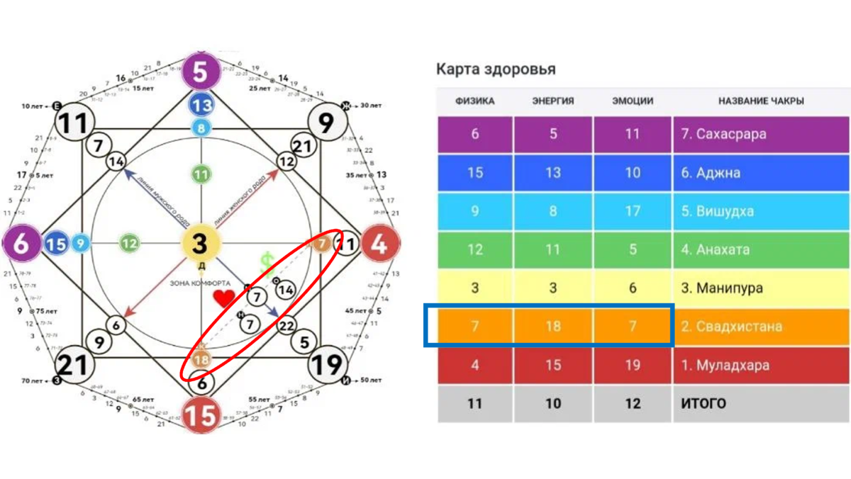 Матрица судьбы 4 8 22. Арканы в матрице судьбы. Amalfi Matrix матрица судьбы. Карта здоровья в матрице судьбы. Чакры в матрице судьбы.