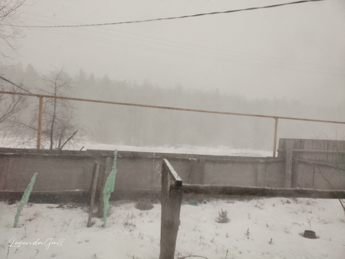Это восточное окно. Леса практически не видать