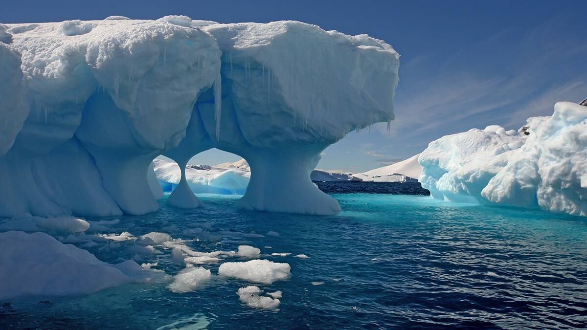    Фото: shutterstock