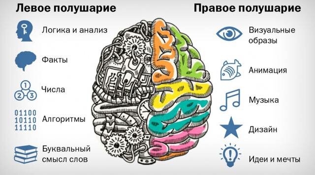 Гуманитарии и технари — это миф? Не мешает ли он вашему ребенку развиваться?