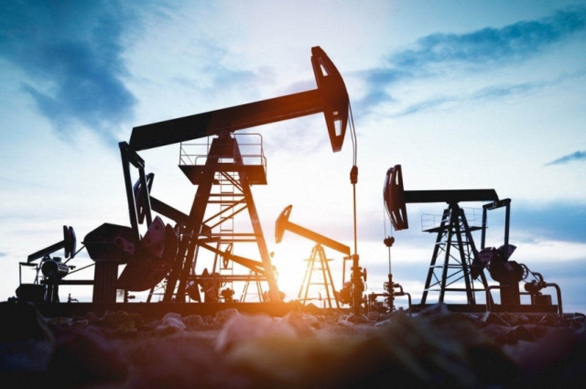    Жажда нефти. Цена «черного золота» может превысить 100 долларов за баррель