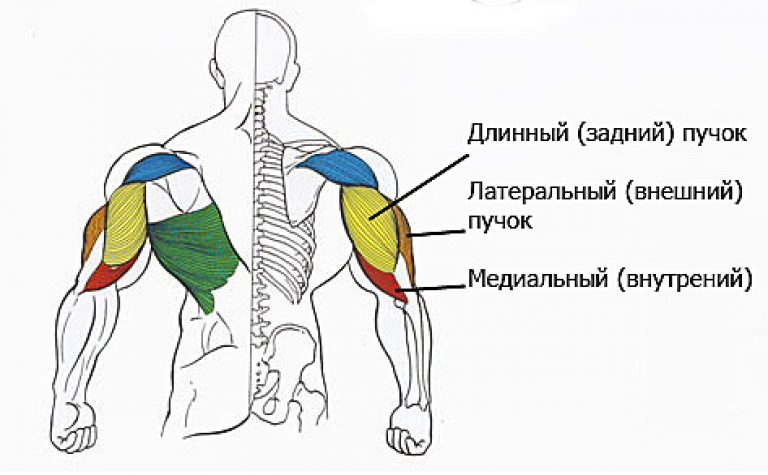 Источник фотографии: Яндекс картинки  