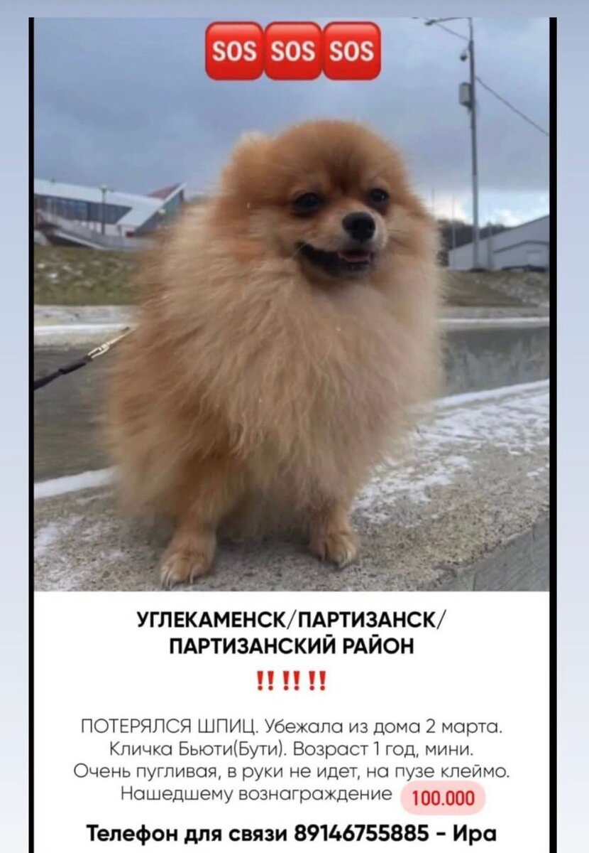     Ориентировка для поиска. @agens_stylist.