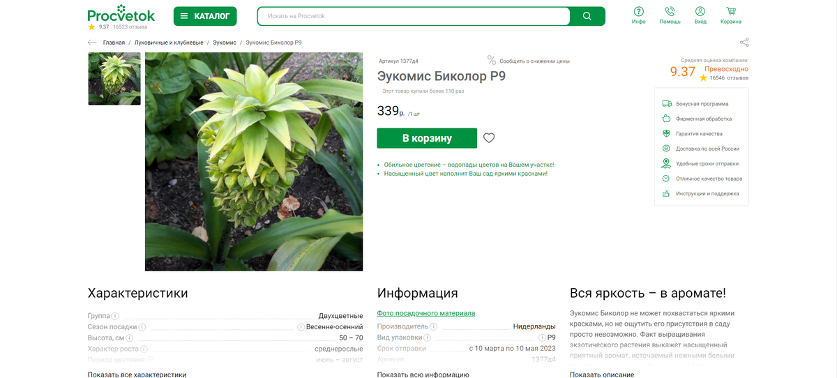 Эукомис Биколор, предложение от интернет-магазина procvetok.ru