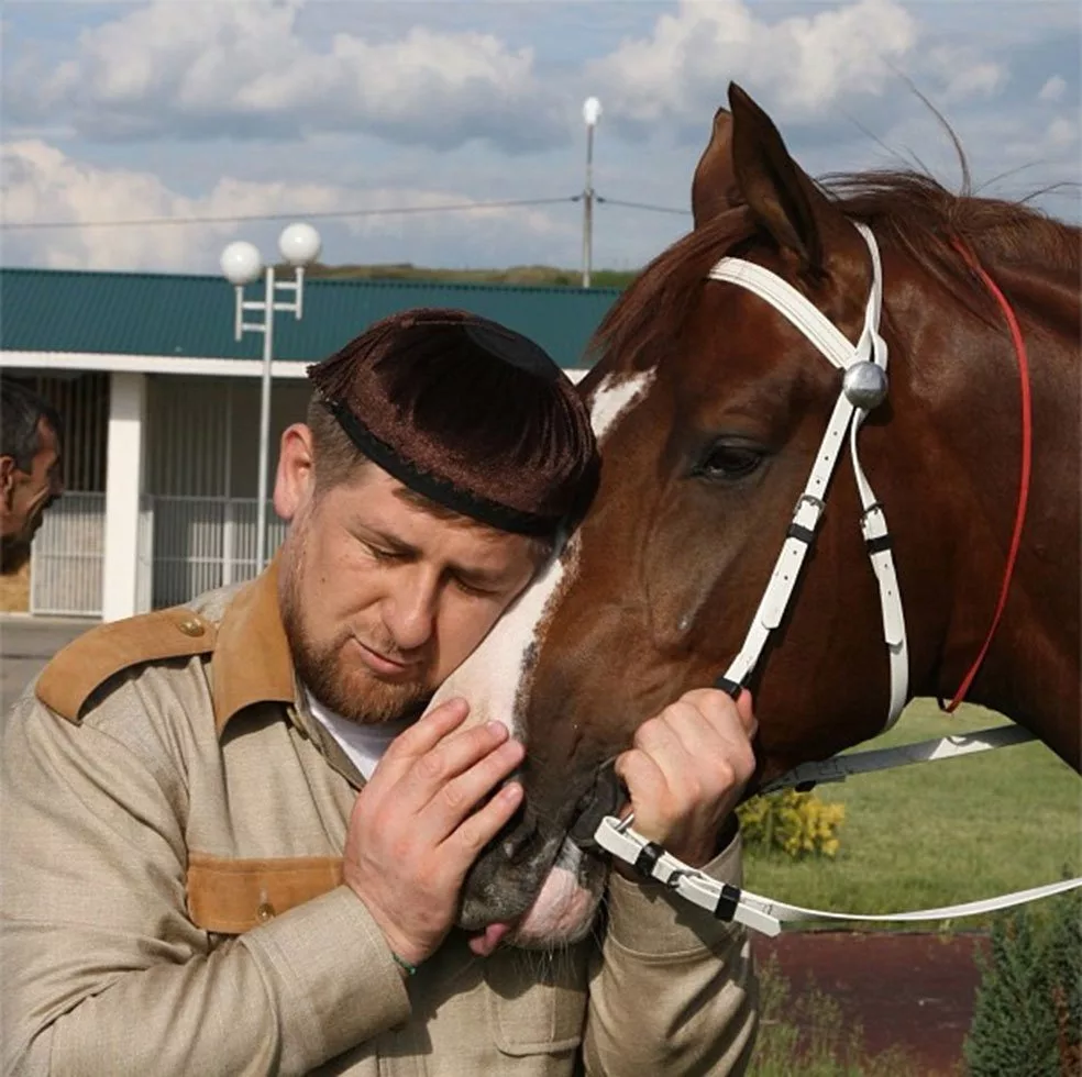 Конюшня Рамзана Кадырова. Лошади Рамзана Кадырова. Рамзан Кадыров на лошади. Лошадей Рамзана Кадырова скачки. Лошадь кадырова
