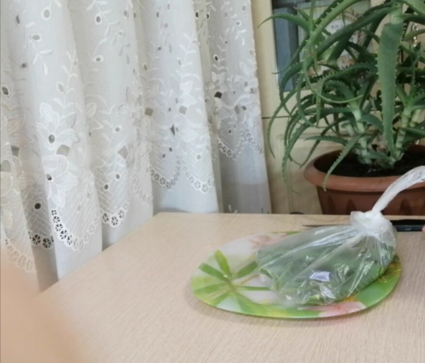 Листья алоэ складываются в пакет и отправляю в холодильник