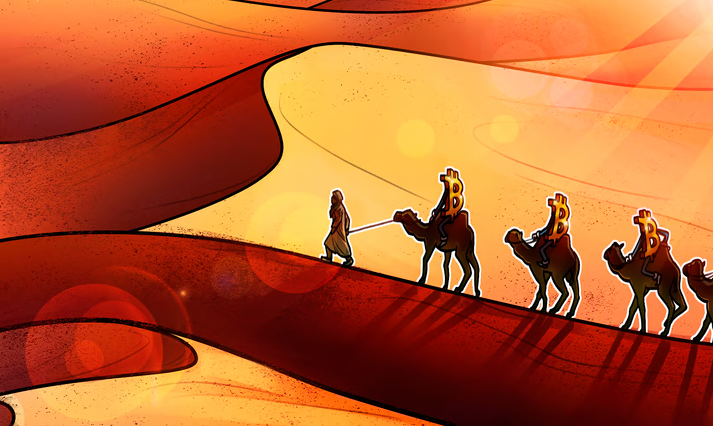 «Шелковый путь» (Silk Road) — даркнет-площадка для торговли нелегальными товарами, основанная Россом Ульбрихтом в 2011 году и получившая название в честь караванной дороги — торгового маршрута между Европой и Восточной Азией, проложенного во II веке до н.э. «Шелковый путь» просуществовал 2 года и 8 месяцев: в октябре 2013 года Ульбрихт был арестован ФБР в публичной библиотеке Сан-Франциско в Глен Парк.