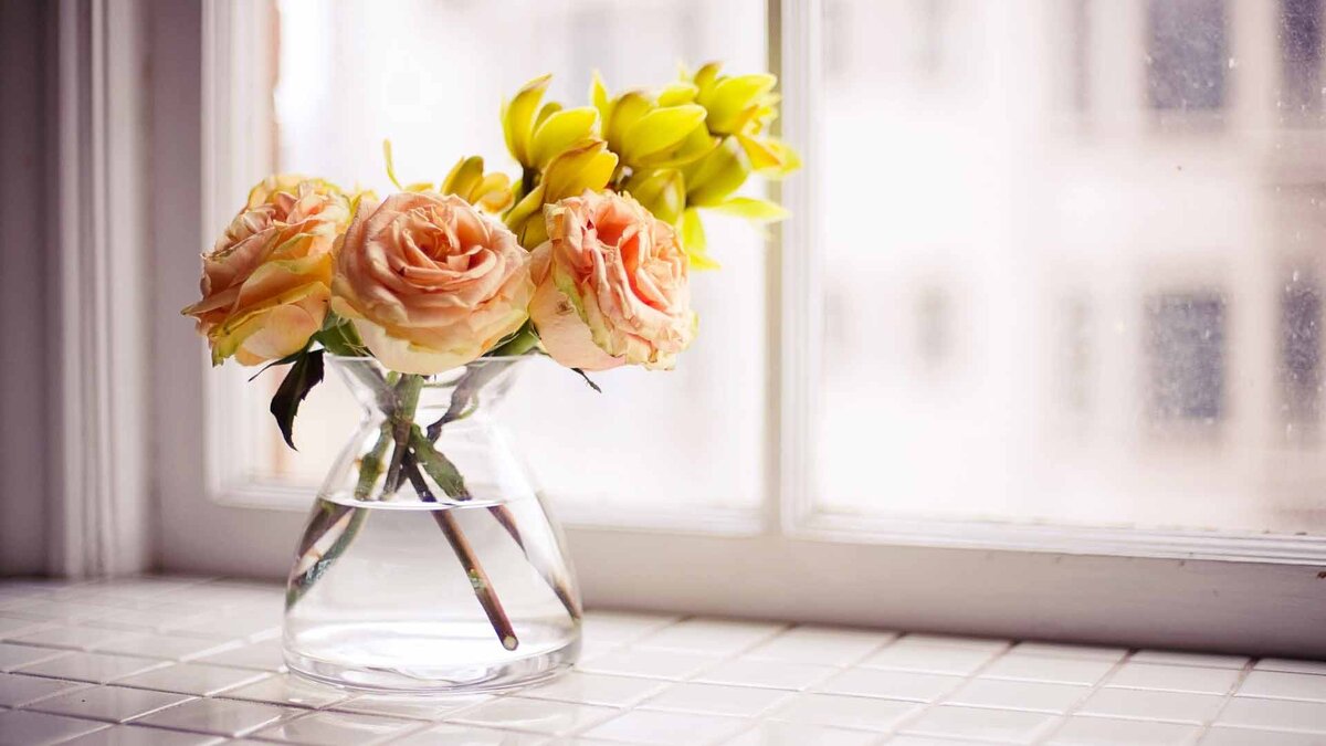  Важно учитывать, что ваза должна быть чистой