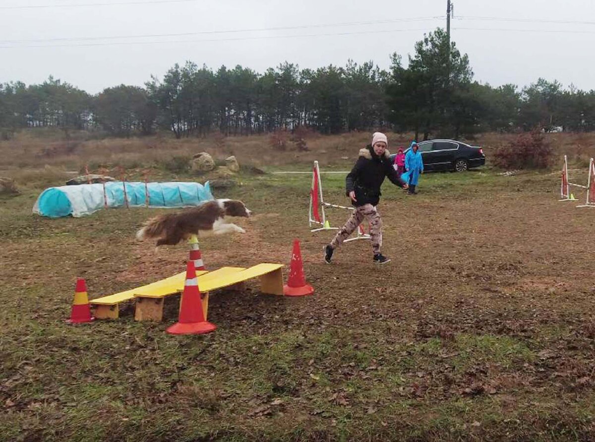 Йосика в работе