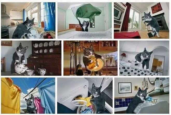 кошачья квартира. куча кошек в квартире. кошачья квартира как убрать. котик убирается. шерсть от домашних животных.