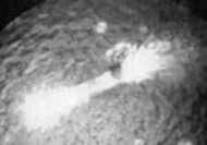 Рис. 2. Трассер, «парящий» над поверхностью медного образца. Длина трассера около 0.1 мм. Видна нитевидная структура трассера, причём «нити» его концевых «кисточек» глубоко проникают в медный образец, к которому трассер этими нитями как бы привязан. Фото МИФИ