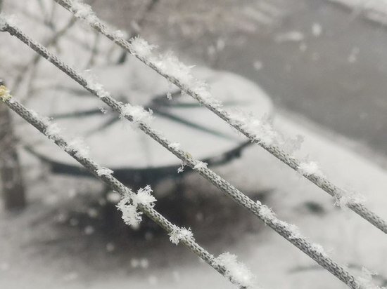     В Биробиджане ночью чистили дороги от снега / Ольга Григорьева