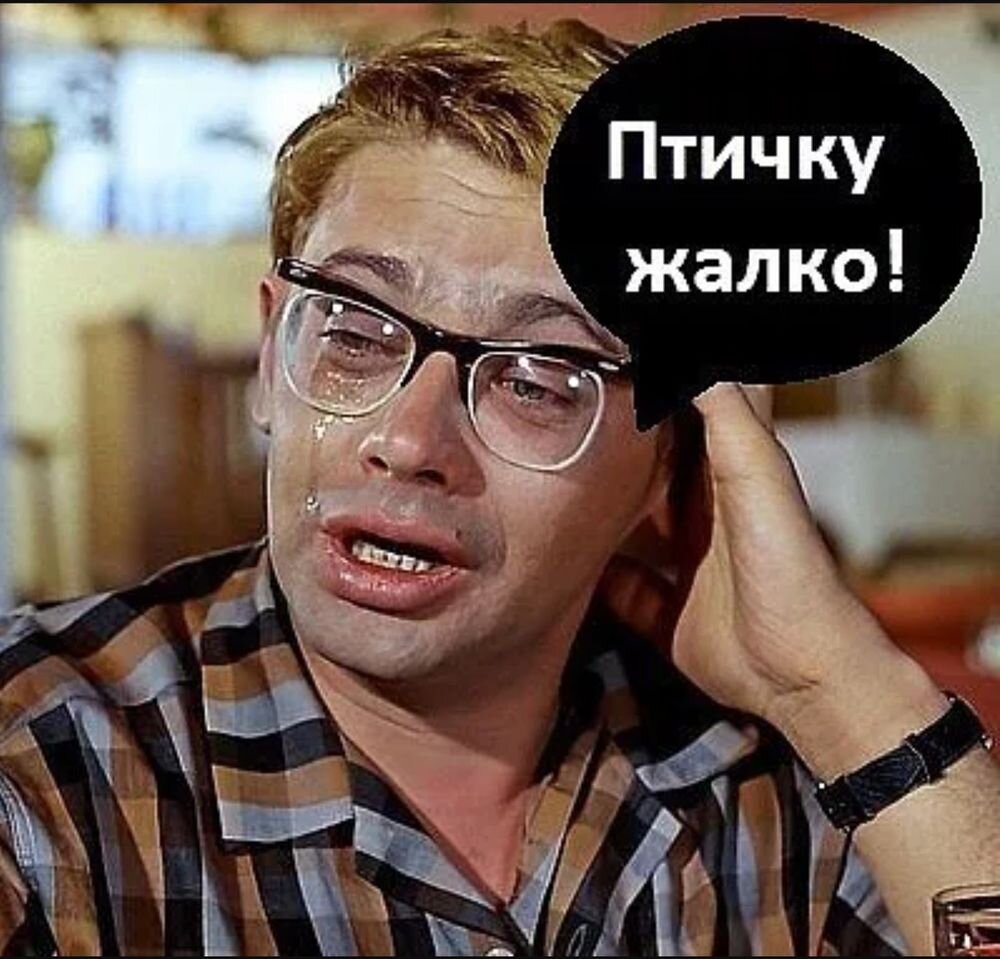 Птичку жалко картинка