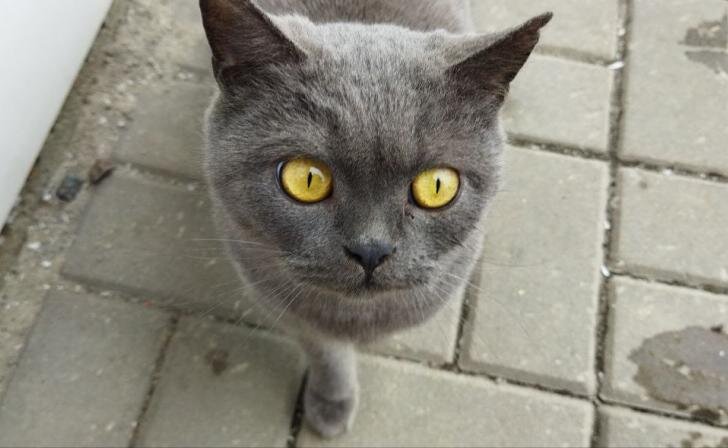    фото из архива Курских известий