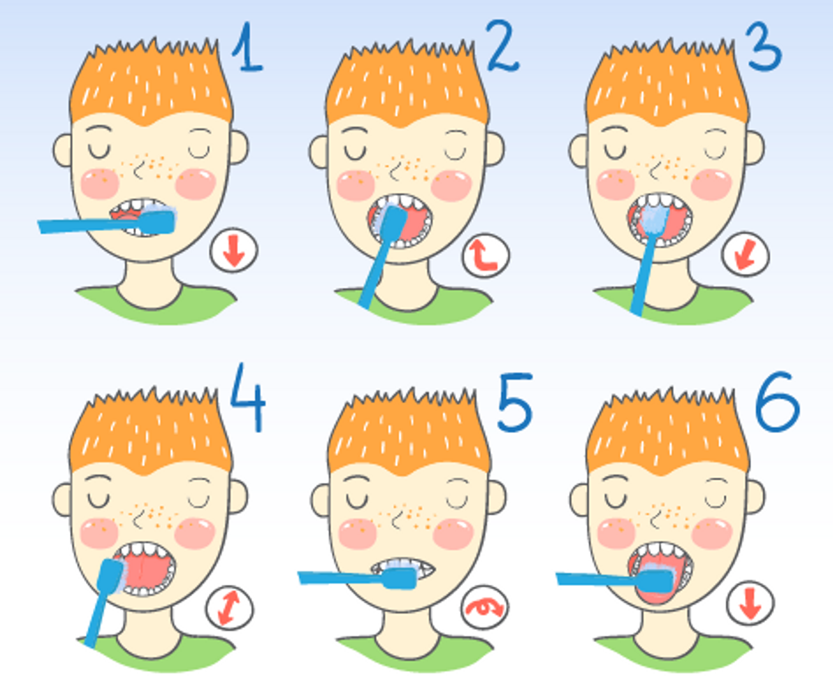 Схема чистки зубов