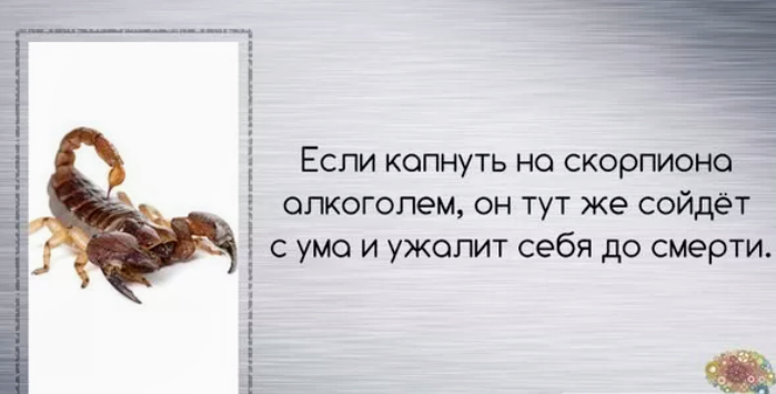 Картинка из интернета 