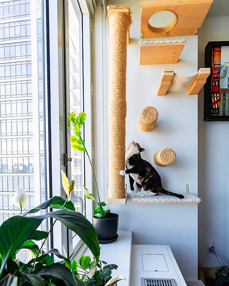 кошки для интерьера квартиры