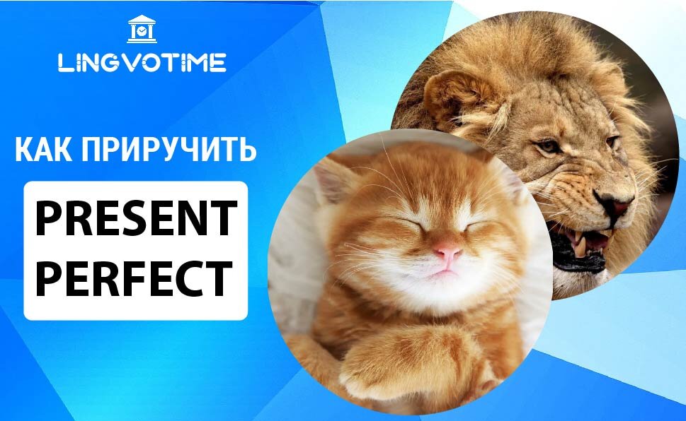 Present Perfect от онлайн-школы Lingvotime