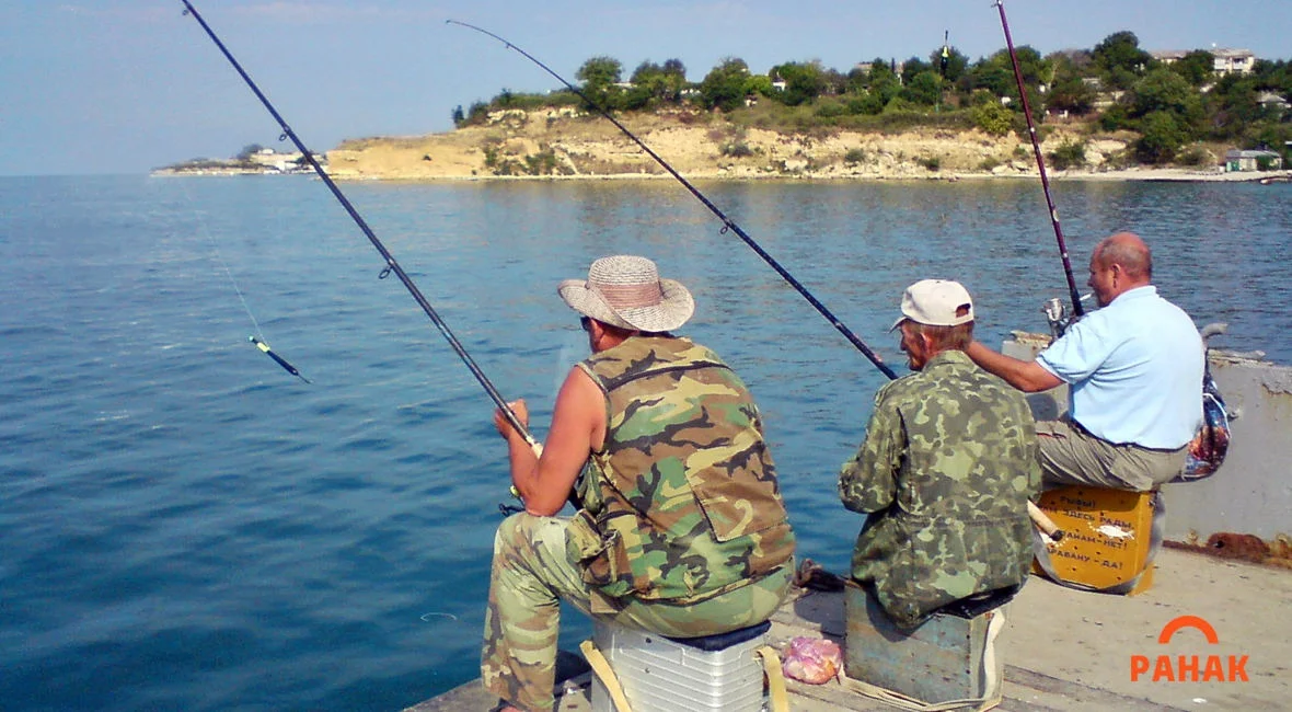 Взято из общего доступа.