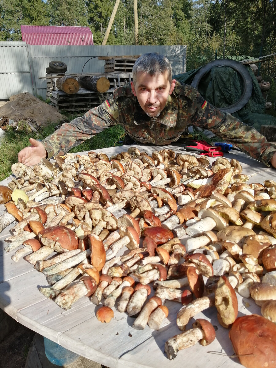 Вот так урожай 