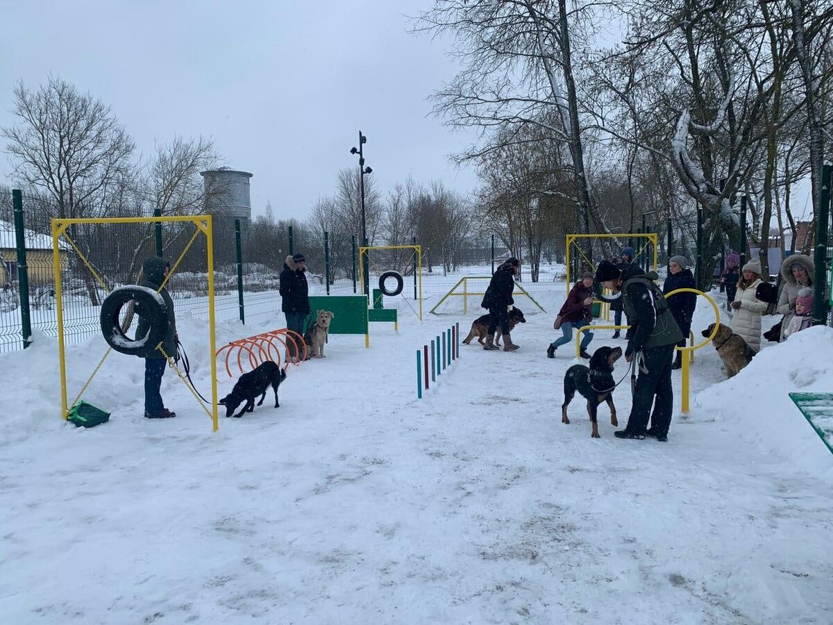 Гатчина собаки. Аэропарк Гатчина. Площадка аэродром Гатчина. Современные собачьи площадки. Аэропарк аэродром Гатчина.