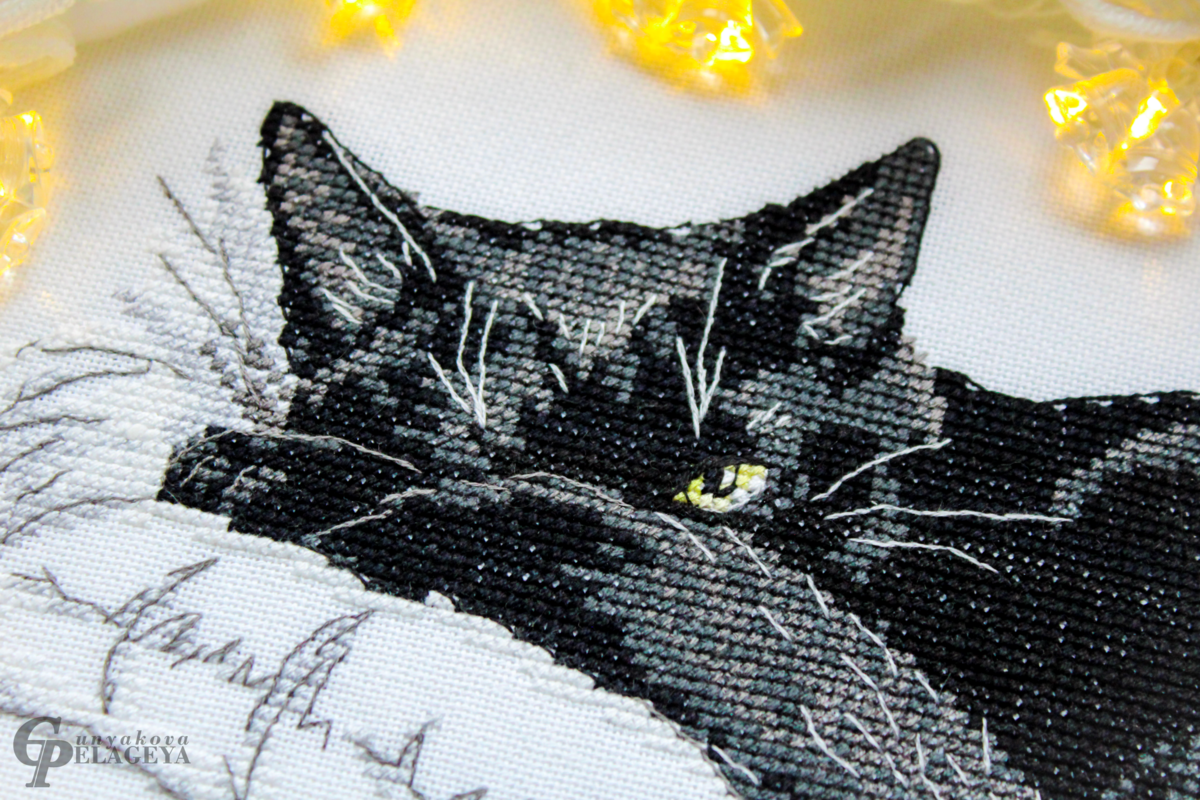 Кото-портрет