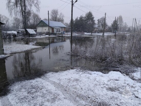     фото: МЧС России по Тульской области