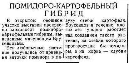     Заметка в газете «Сталинская трибуна», 1940 г. Фото: анонимный автор, общественное достояние