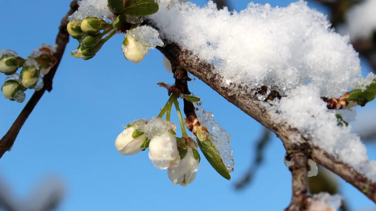 Погода летом 2023 года будет непредсказуемой. Фото: pxhere.com