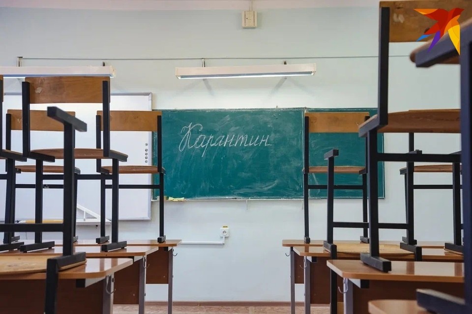     Выявили 206 вирусов гриппа Сергей ГРАЧЕВ