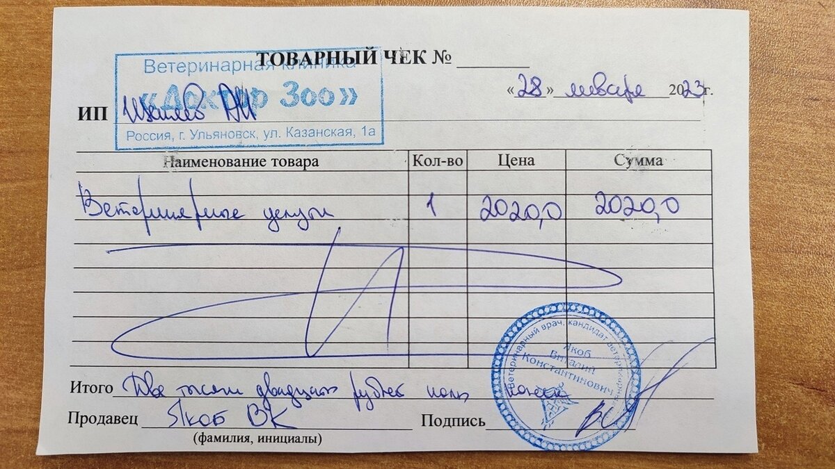 Статья: Миссия выполнима: как собаки скооперировались, чтобы достать еду с плиты