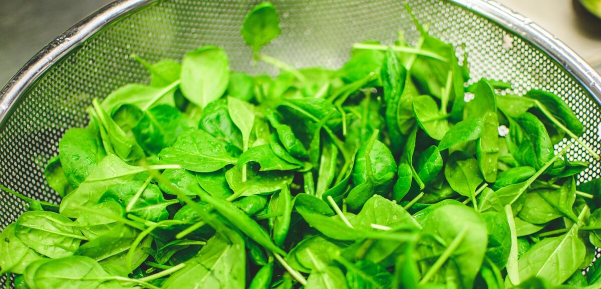 Image Credit: Pille R. Priske | unsplash.com/@pillepriske