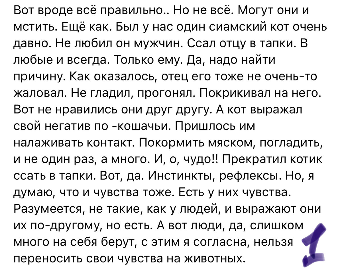 Комментарий N1