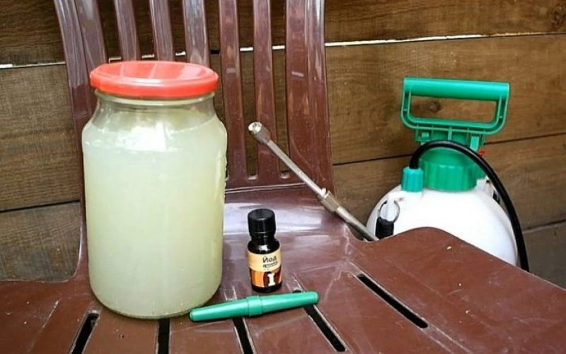 Взято из общего доступа