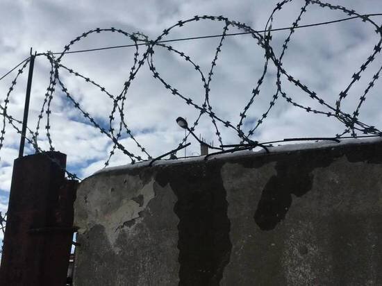     Одна из колоний в Саратовской области. Фото: saratov.mk.ru "МК в Саратове"