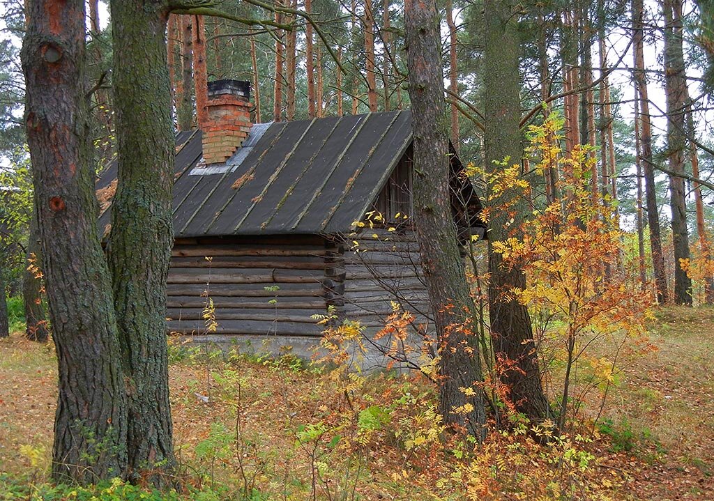 Русская баня в священной роще 
