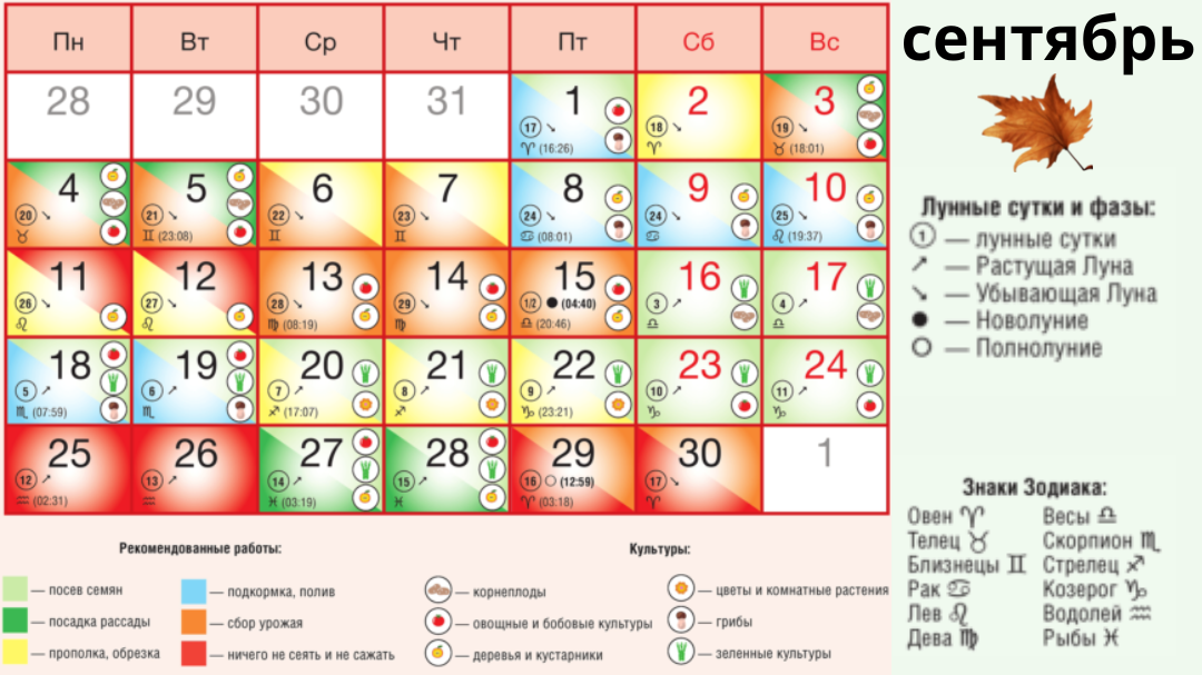 Готовимся к дачному сезону!!! Лунный календарь на январь 2023 года 2023 Кезская 