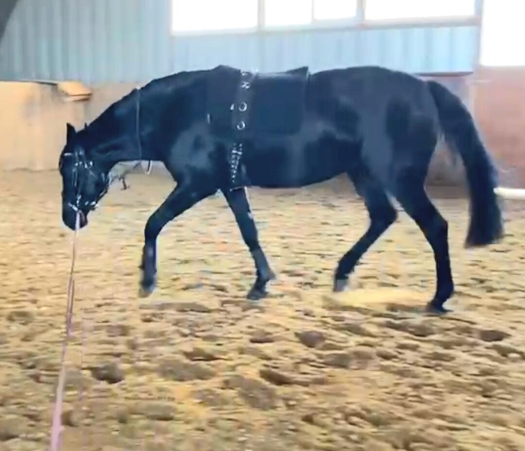 Работа с гогом. Смотрите как округляется спина и не теряется при этом зад.