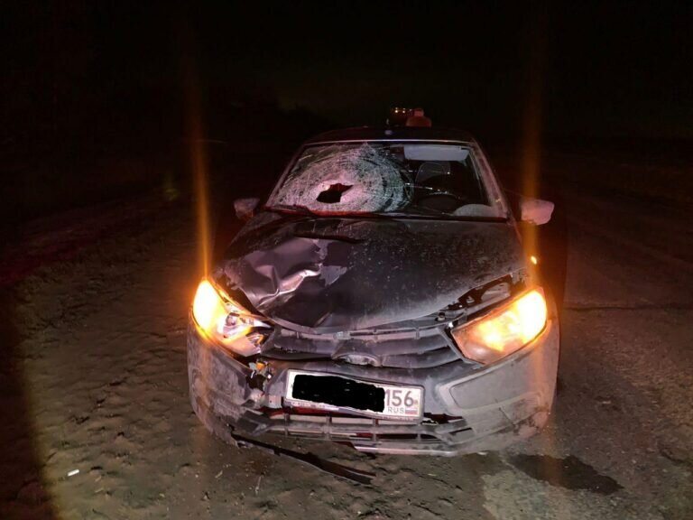    В Бузулукском районе на трассе Бугульма – Уральск под колесами легковушки погибла женщина Марина Шарт